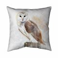 Begin Home Decor 20 x 20 in. Barn Owl-Double Sided Print Indoor Pillow 5541-2020-AN386